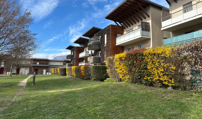 amenagement paysager 2