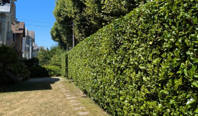 espaces verts 3